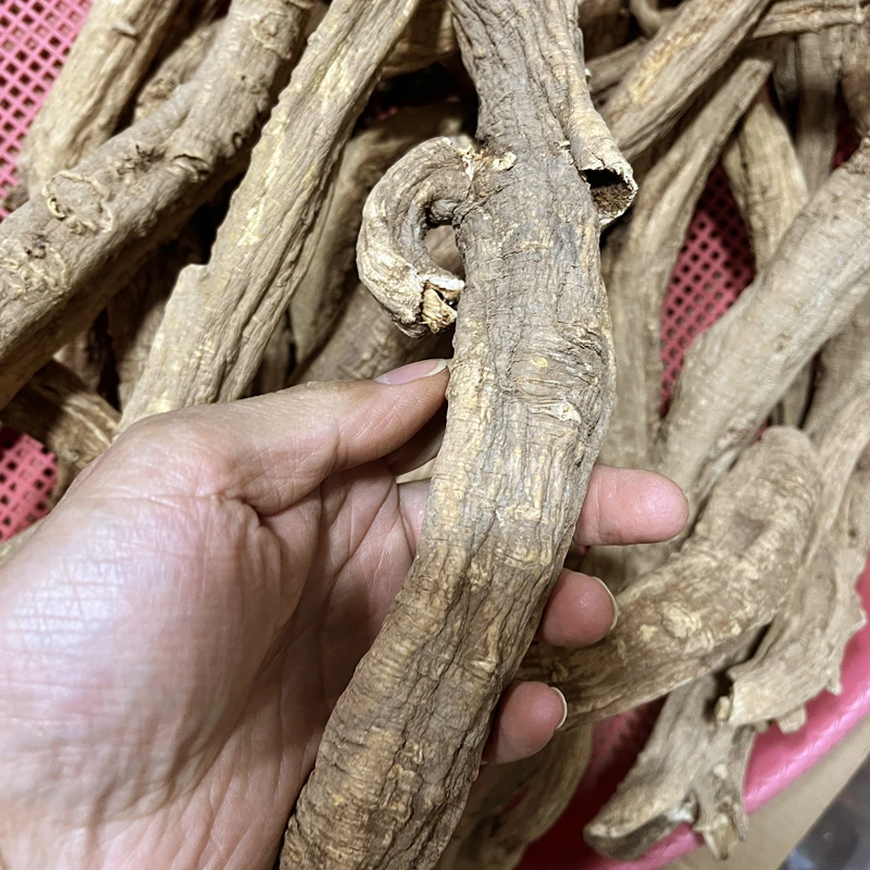 野生藏党参特级甘孜阿坝藏区党参