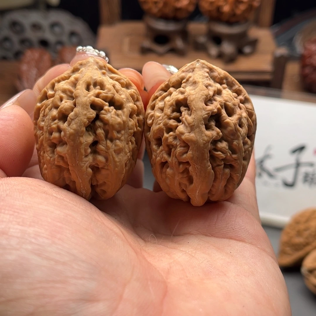文玩核桃把件楸大胖103