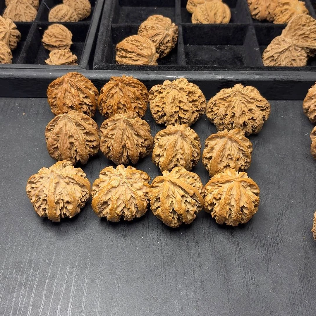 桃木突突突突突突突突