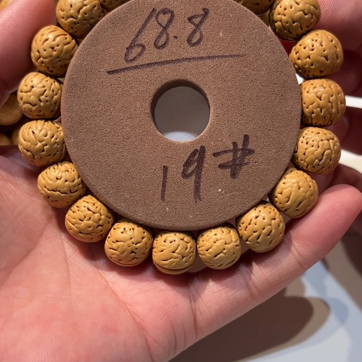 核桃桃核直播19号直播