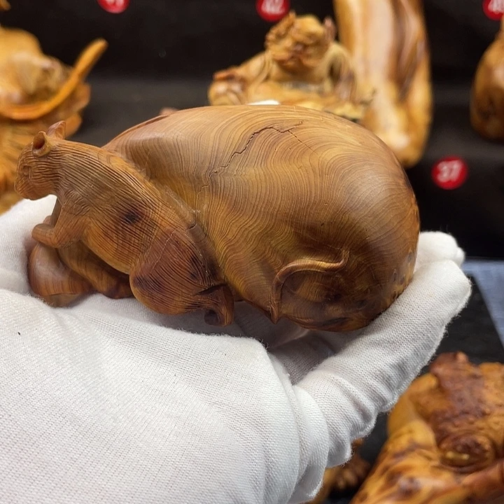 阿***黄柏木（崖柏）袋袋鼠钱