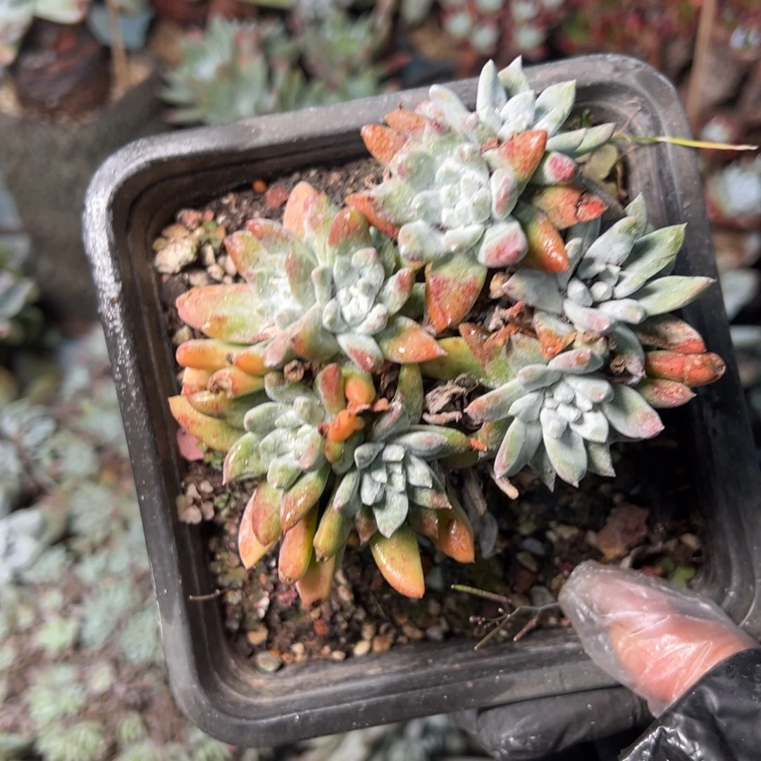 028个哈哈哈哈哈哈哈哈