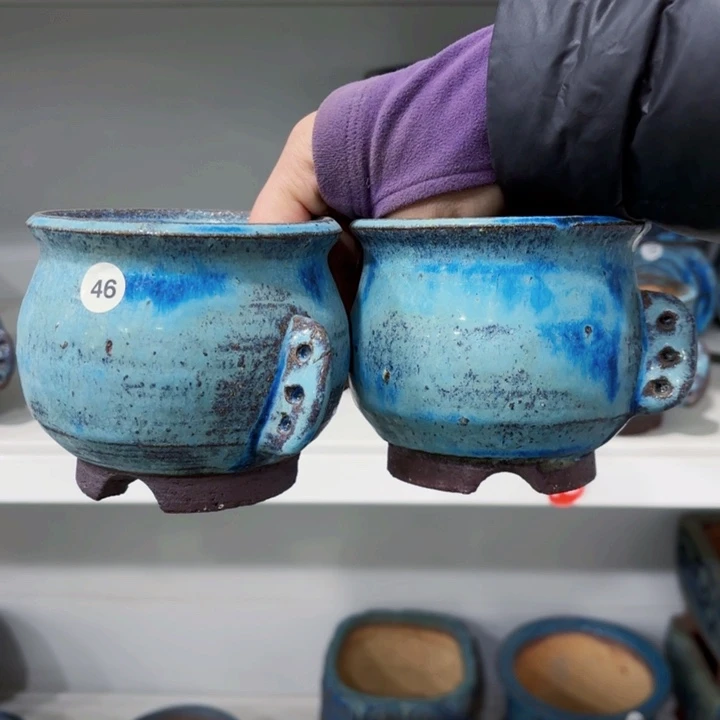 红陶小*内敛的人是有多