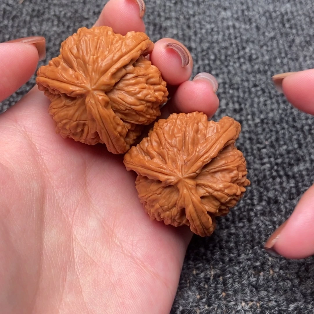 小****木质类白狮子正奔