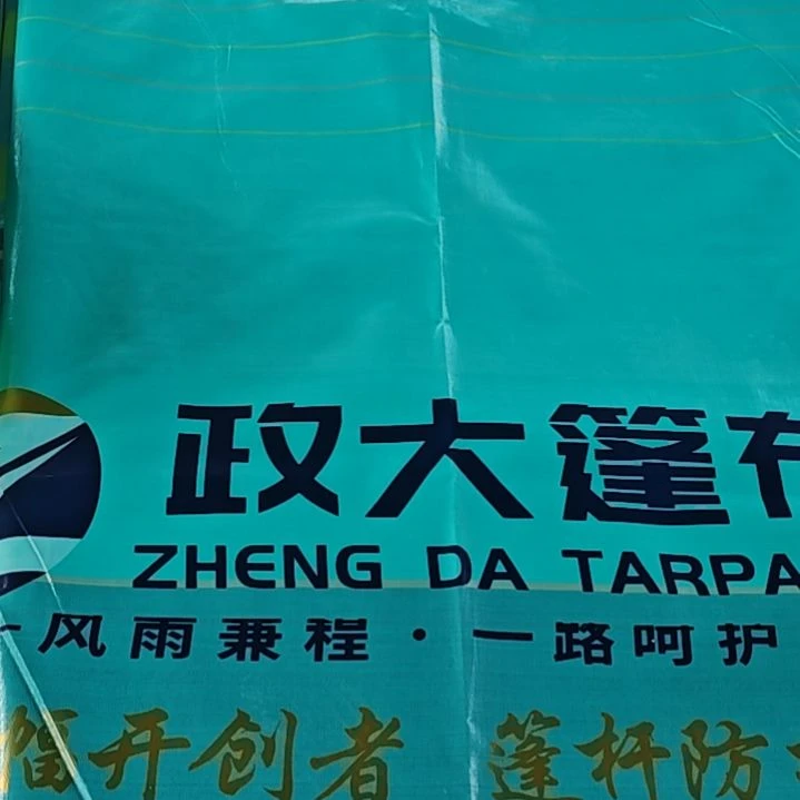 绒质6666666666666666666666666666