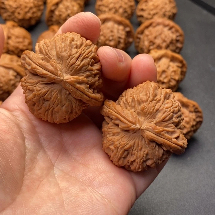 把件文玩核桃44尺白狮子