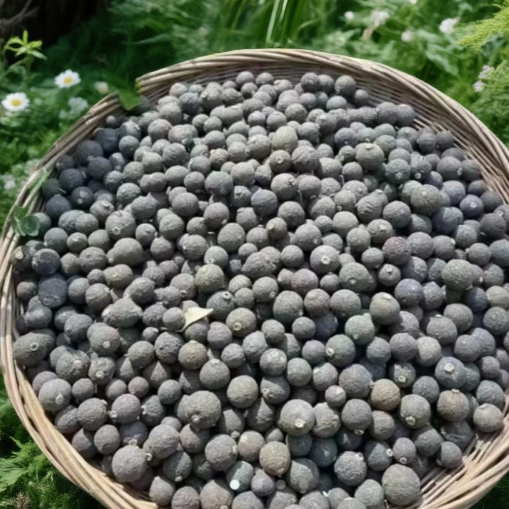 高山高海拔精选小柑胎500克