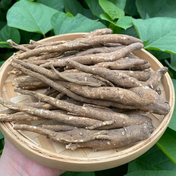 【杨老妹】山货藏当归 250克 农产品