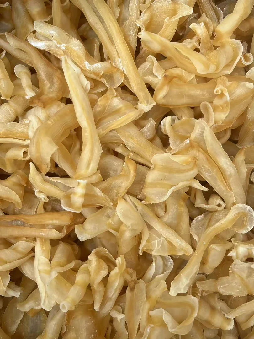 精选花胶凤尾胶红鳘鱼胶干货称重