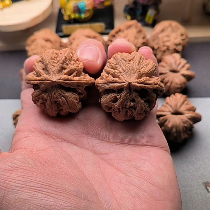 五***久核桃大粗筋福利41尺