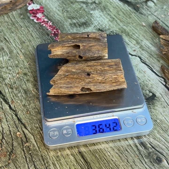 沉香沉香枕种植棋楠西瓜叶