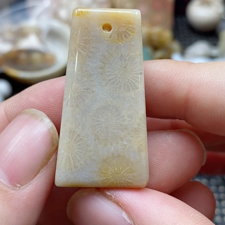 硅化珊瑚（珊瑚玉）颈饰未镶嵌