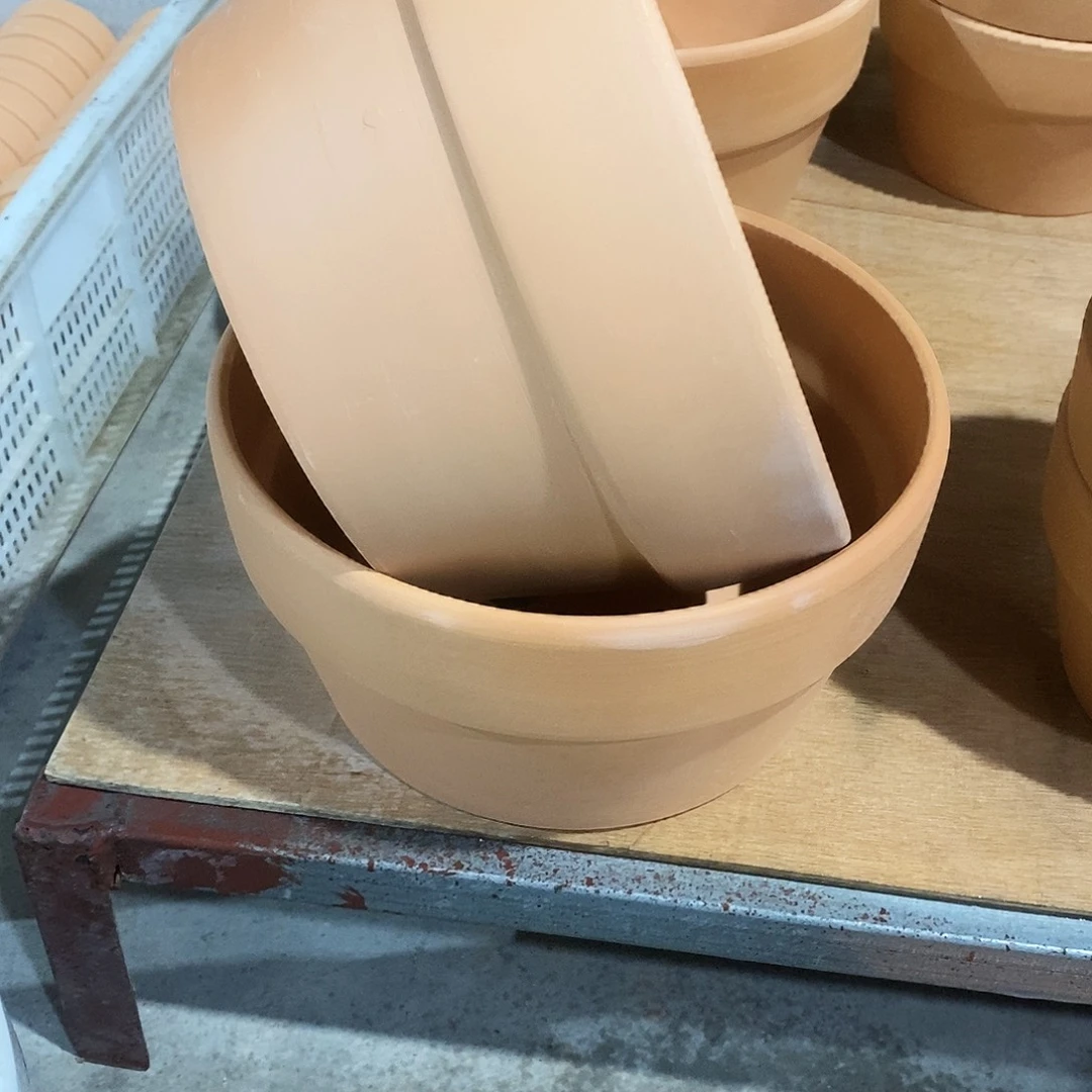红陶20×11-2