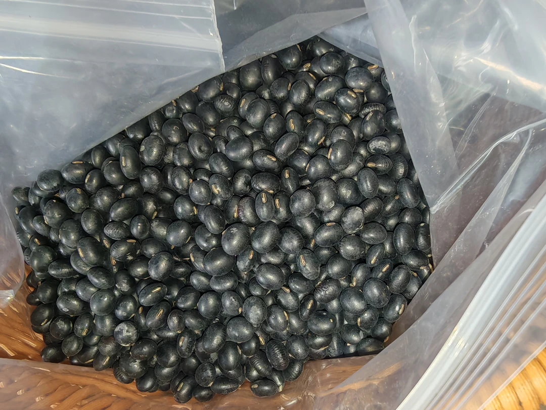 涪陵农家自家种植黑豆五谷杂粮非转基因