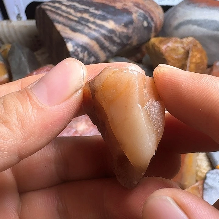 寿山石明*寿山石的价格