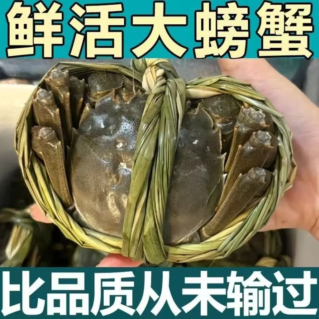 【活蟹】少腿大闸蟹全公3.0-3.3两8-10只装鲜活3斤顺丰JD空运冷链