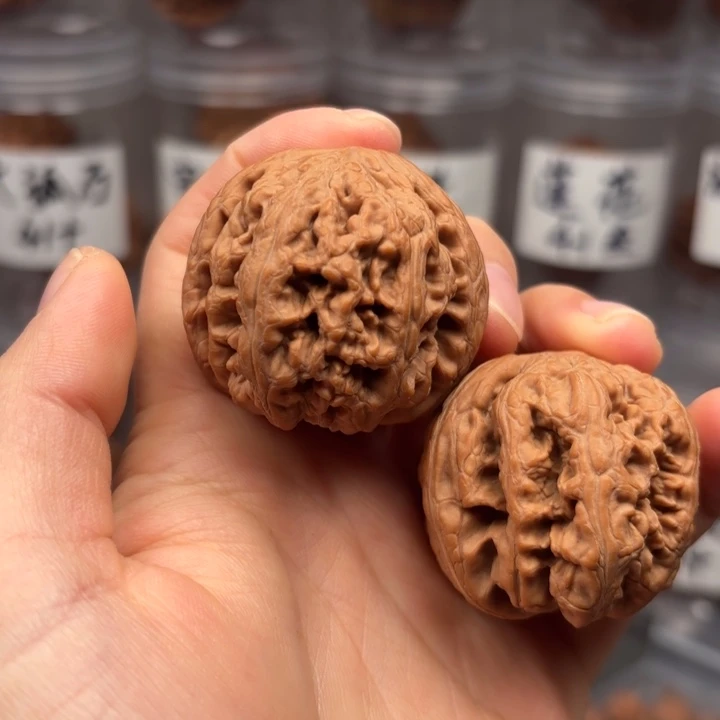 大叶紫檀（黑酸枝木类）40粗筋全品