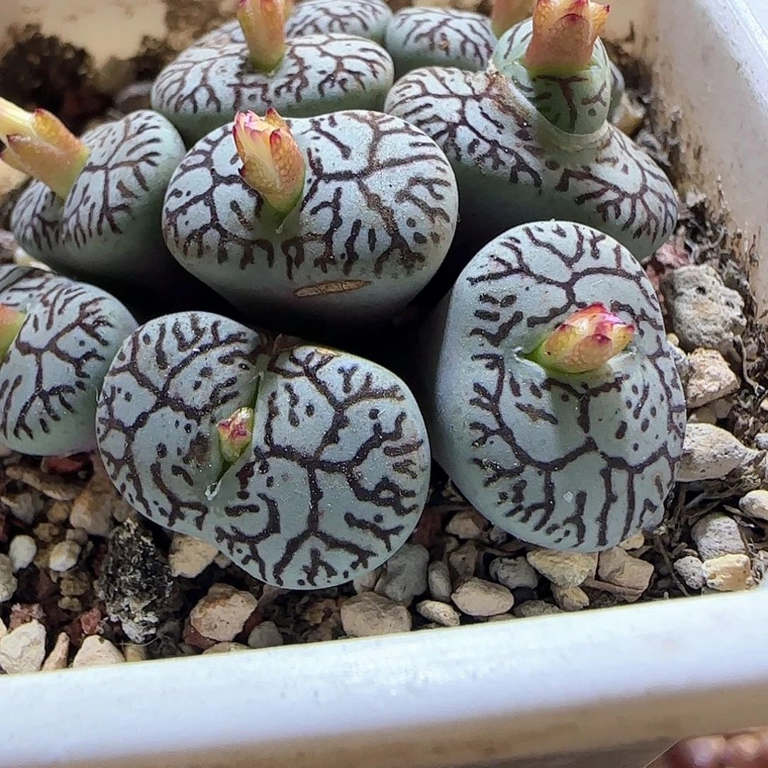 哈哈哈哈哈哈哈57477