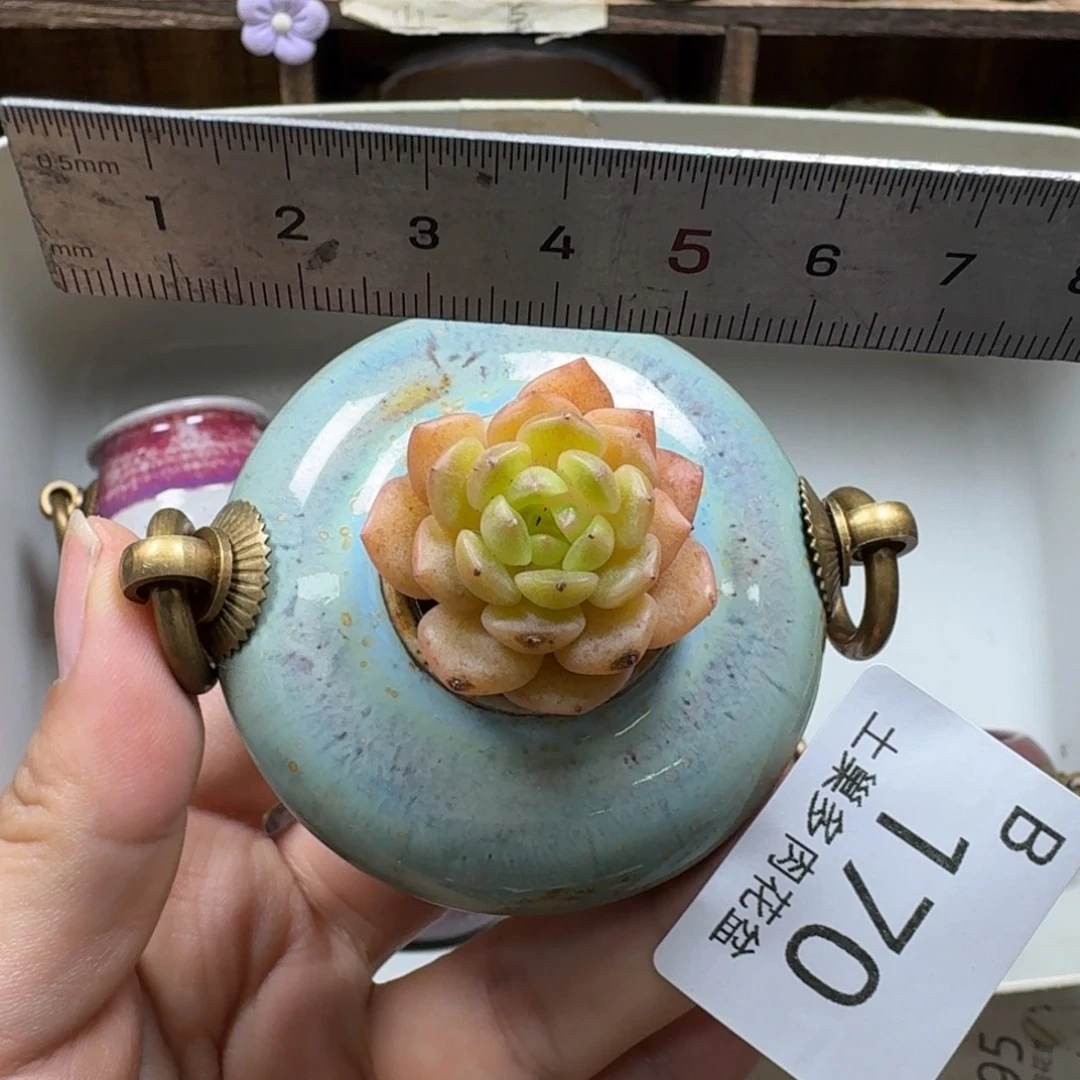 陶瓷艺术设计学与制作