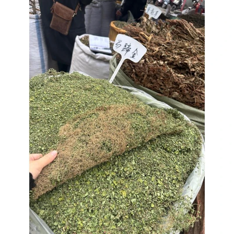 广西山货小叶金钱草正宗干货马蹄金当季新品泡茶