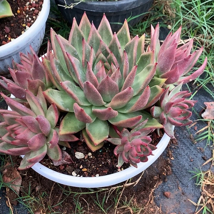 每周特价活动开始啦