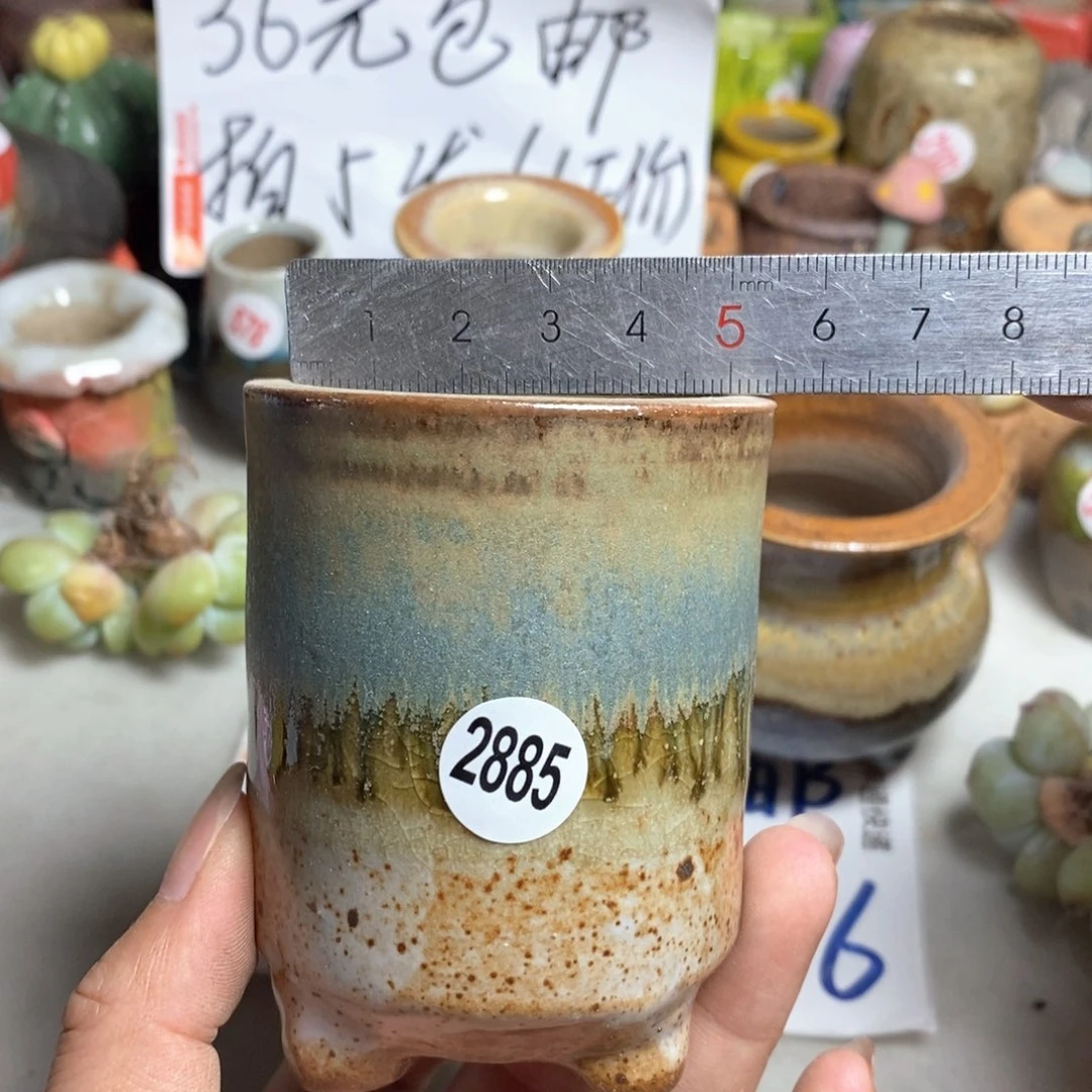 拍5送一个小礼物