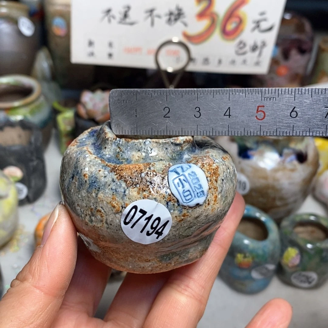 花盆拍3送一个小礼物