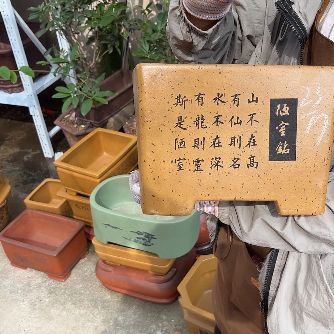 紫砂花盆盆景艺术