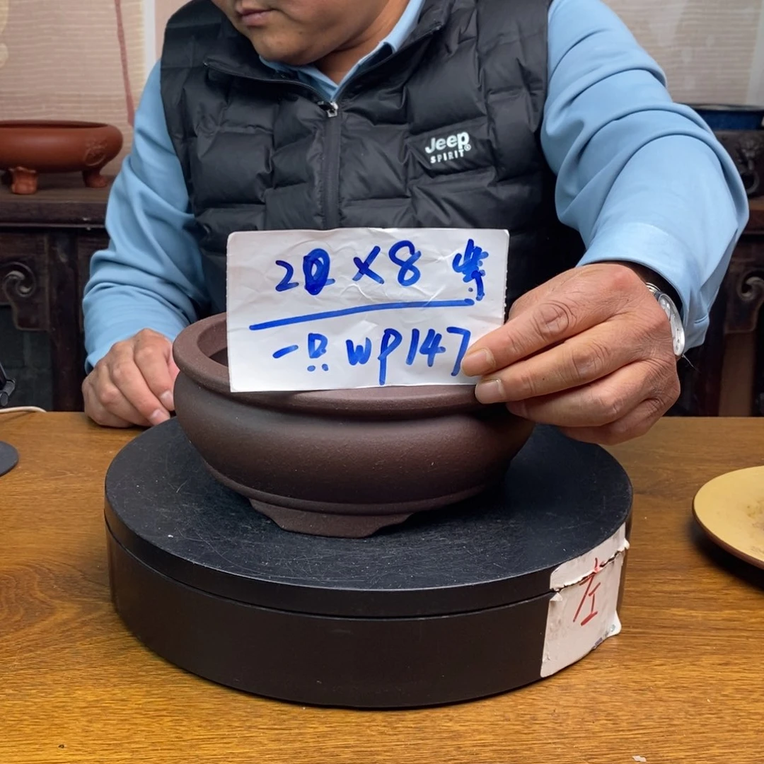 紫砂货号一只WP147