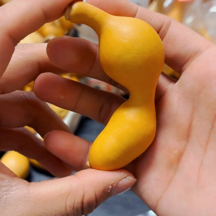 ✨***弟88888888888888888