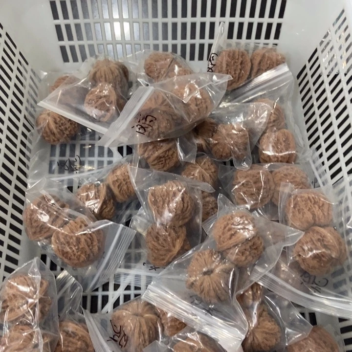 吊坠文玩核桃40➕汉高