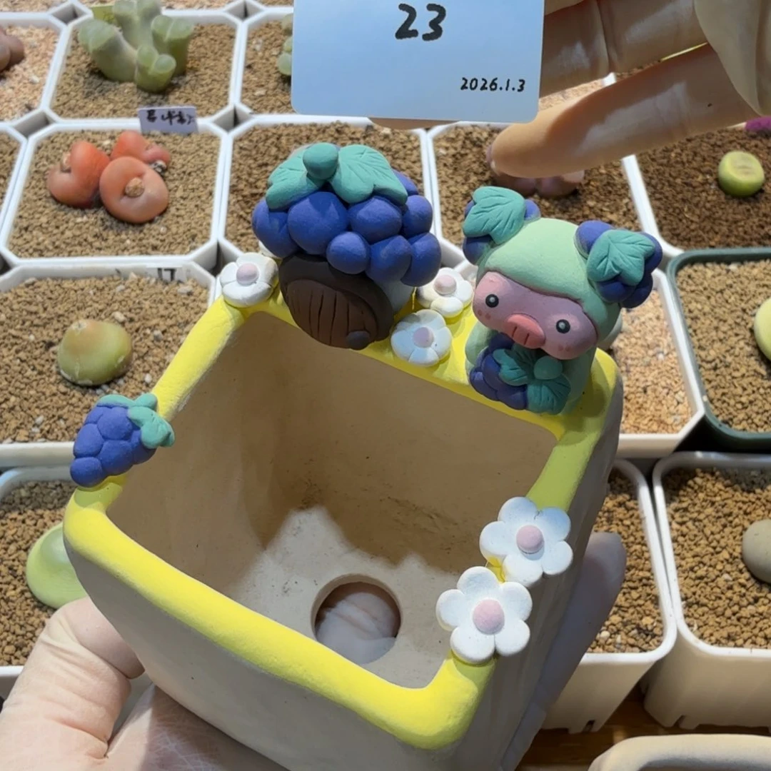 多肉多肉多肉1.3-023