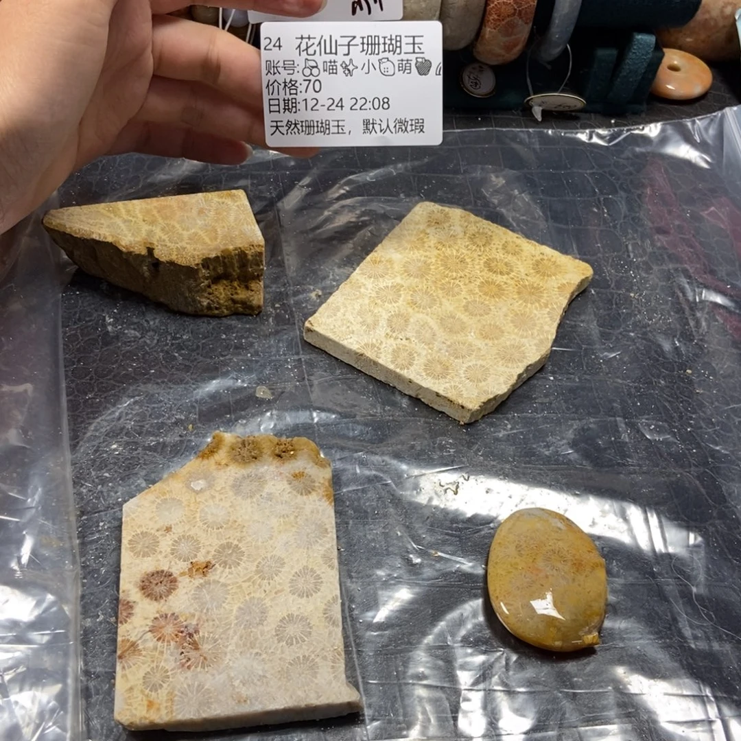 ****️硅化珊瑚（珊瑚玉）未镶嵌珠宝半成品24