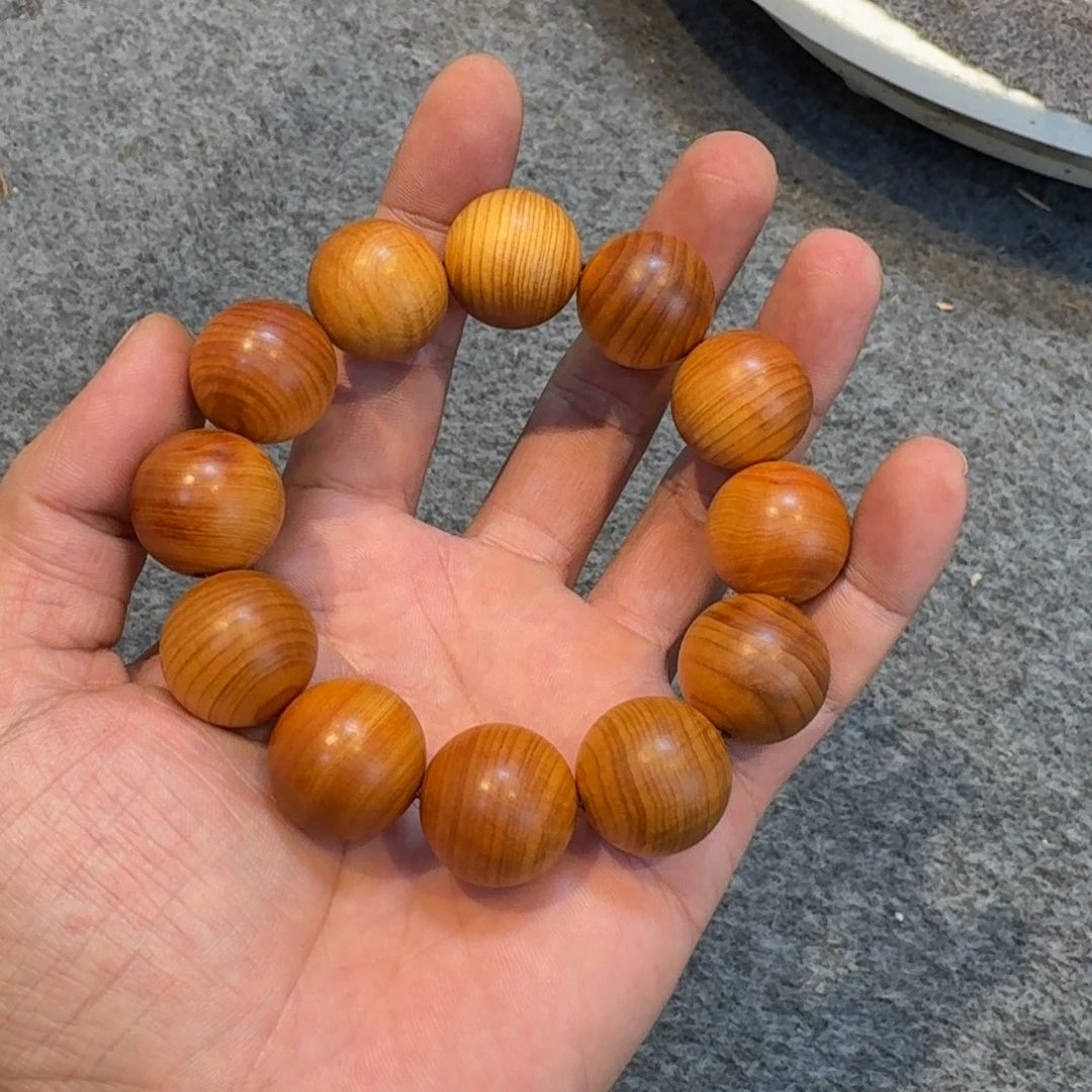 柏木（崖柏）崖柏11111111