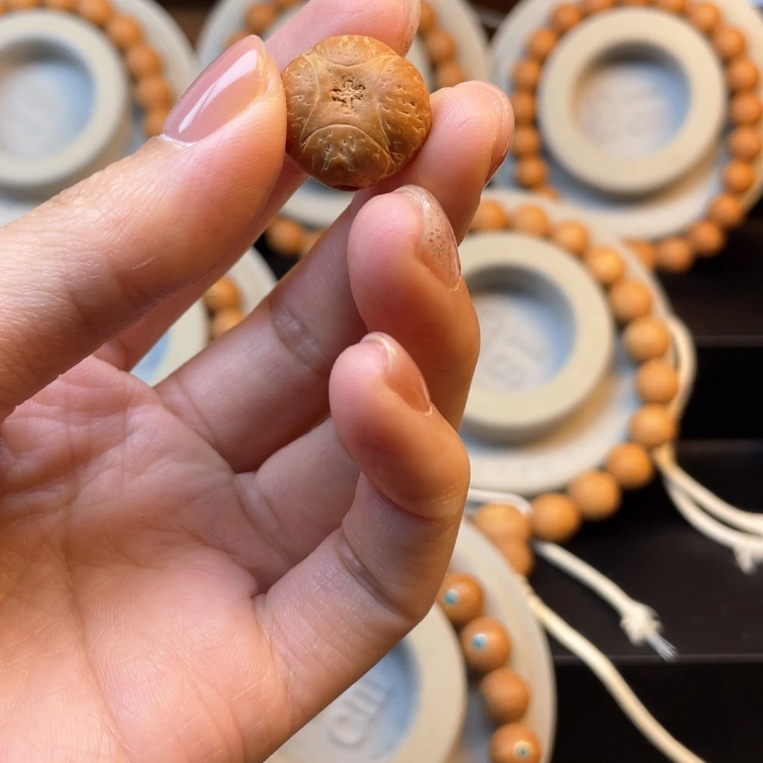 如***一麒麟单颗菩提25新籽
