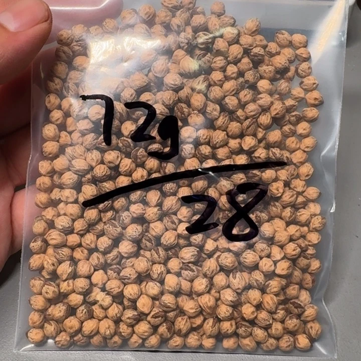 柏香籽/百香籽吊坠L****h