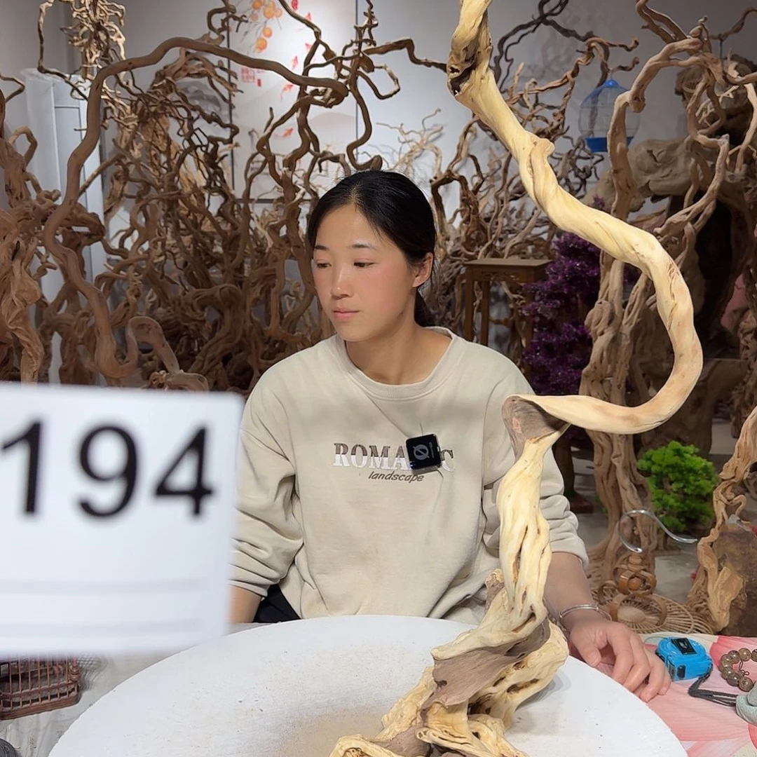 风车木（黑檀木）朝**说