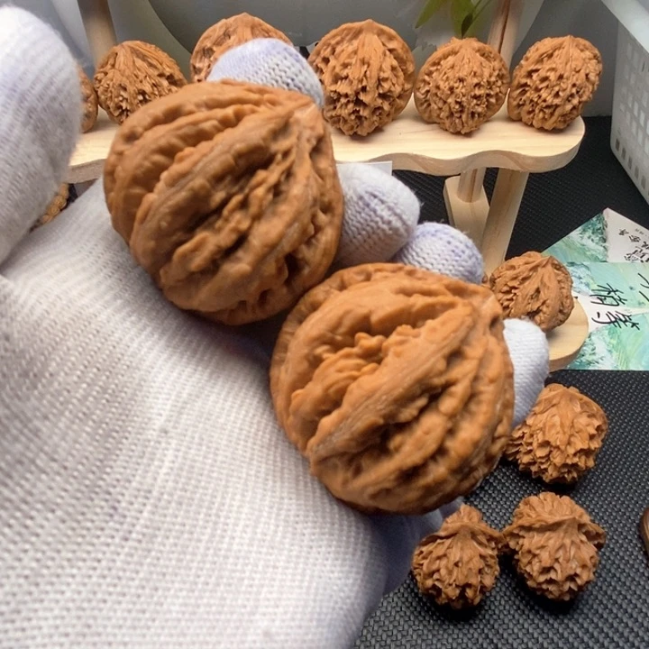 好*好秦岭灯笼40尺