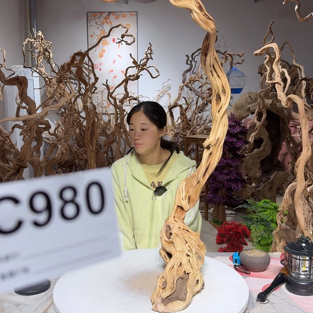 风车木（黑檀木）嗨****?