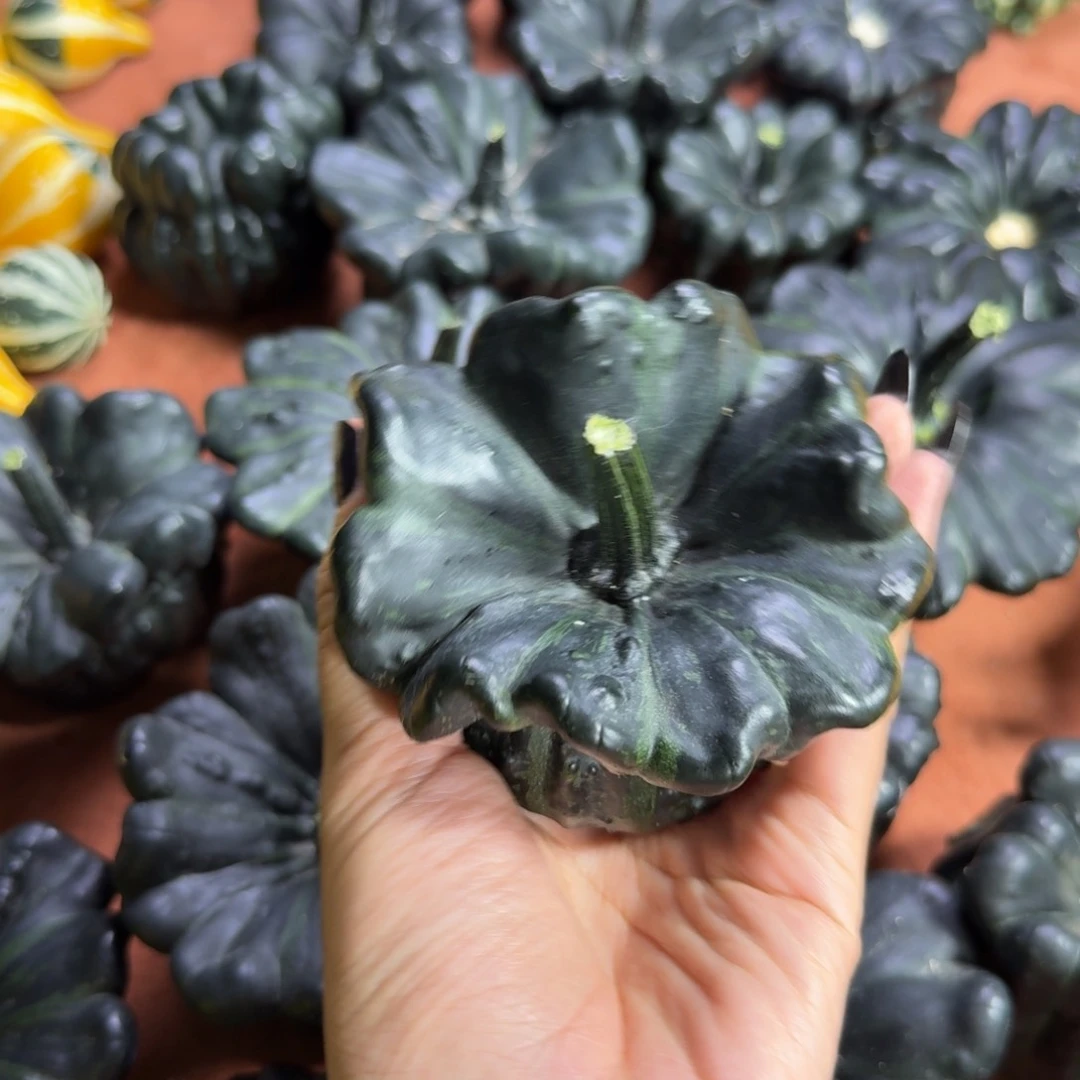 西***西嗯嗯嗯额嗯嗯嗯