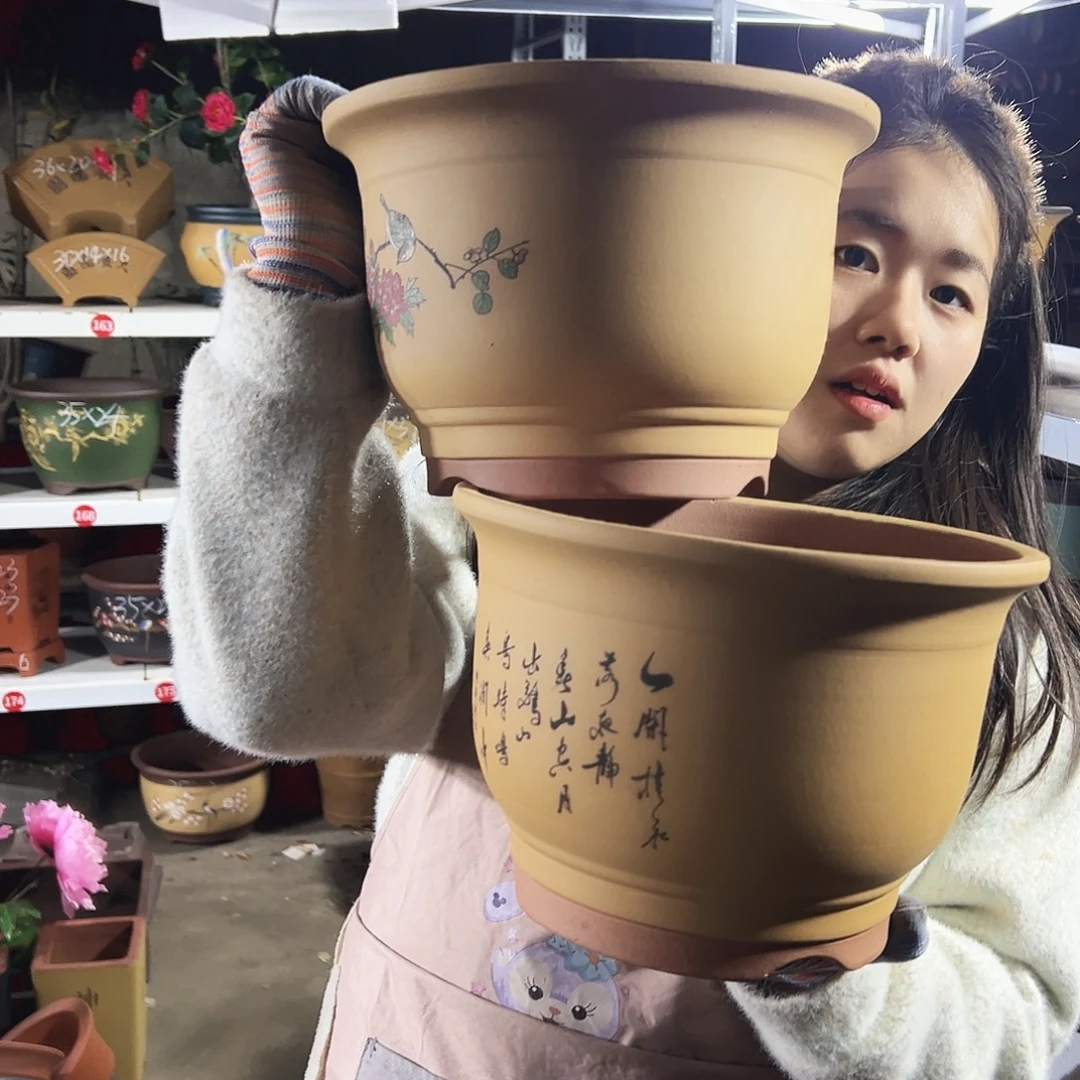 黄色鸟语花香中号一对