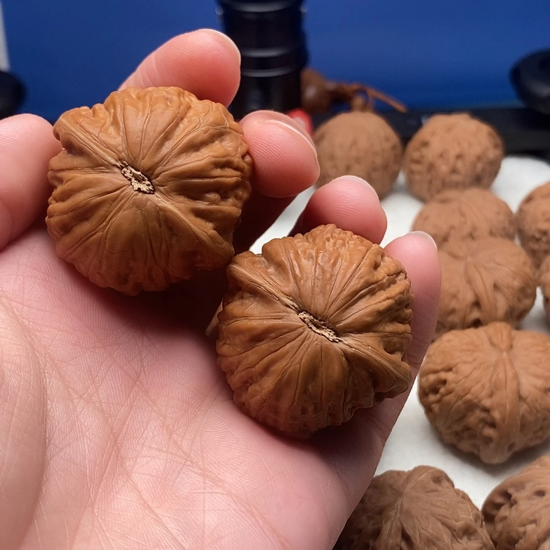 堇***华39铁锤妹妹文玩核桃