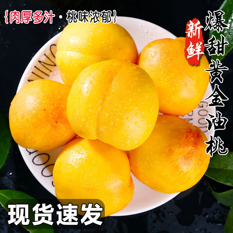 顺平黄金油桃5斤新鲜水果当季现摘黄肉蜜桃脆甜桃子时令大果整箱