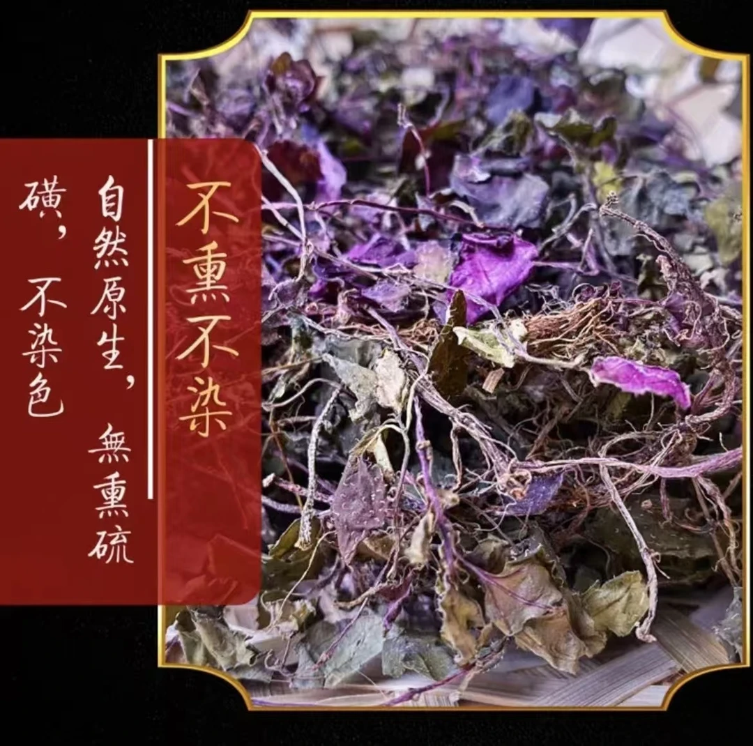 岭南深山野生风柜斗草精选幼苗干品