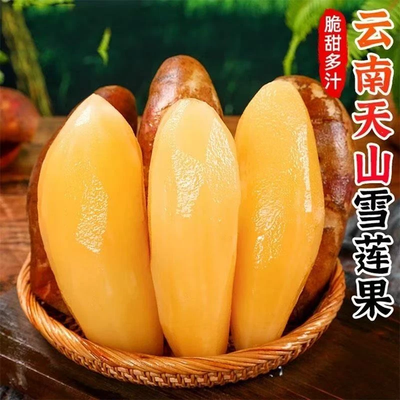 【新疆包邮】正宗云南天山雪莲果 脆甜多汁新鲜水果云南省云南省云南省