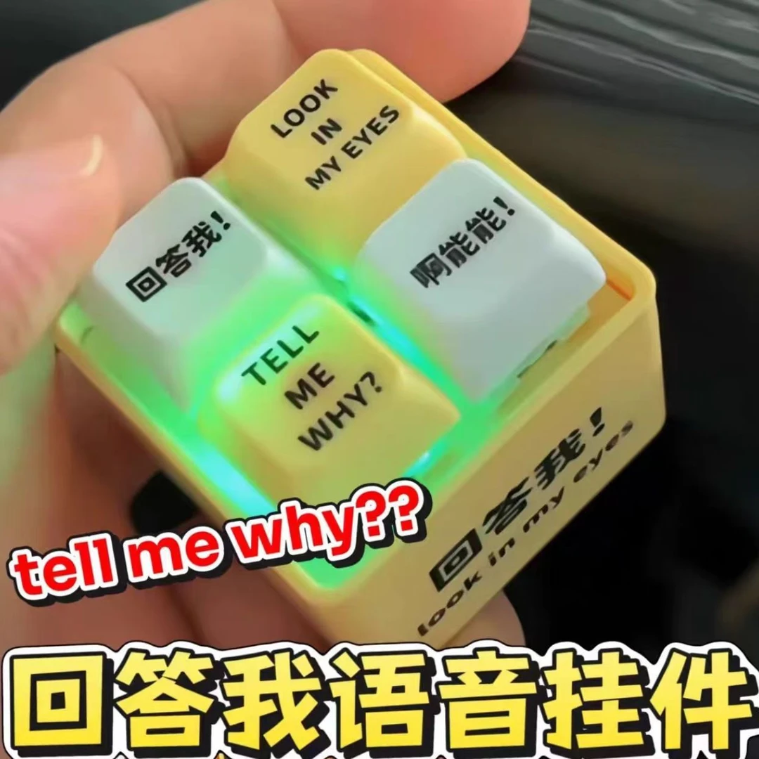 回答我按键发声解压玩具tell me why语音搞怪钥匙扣电子发光发声