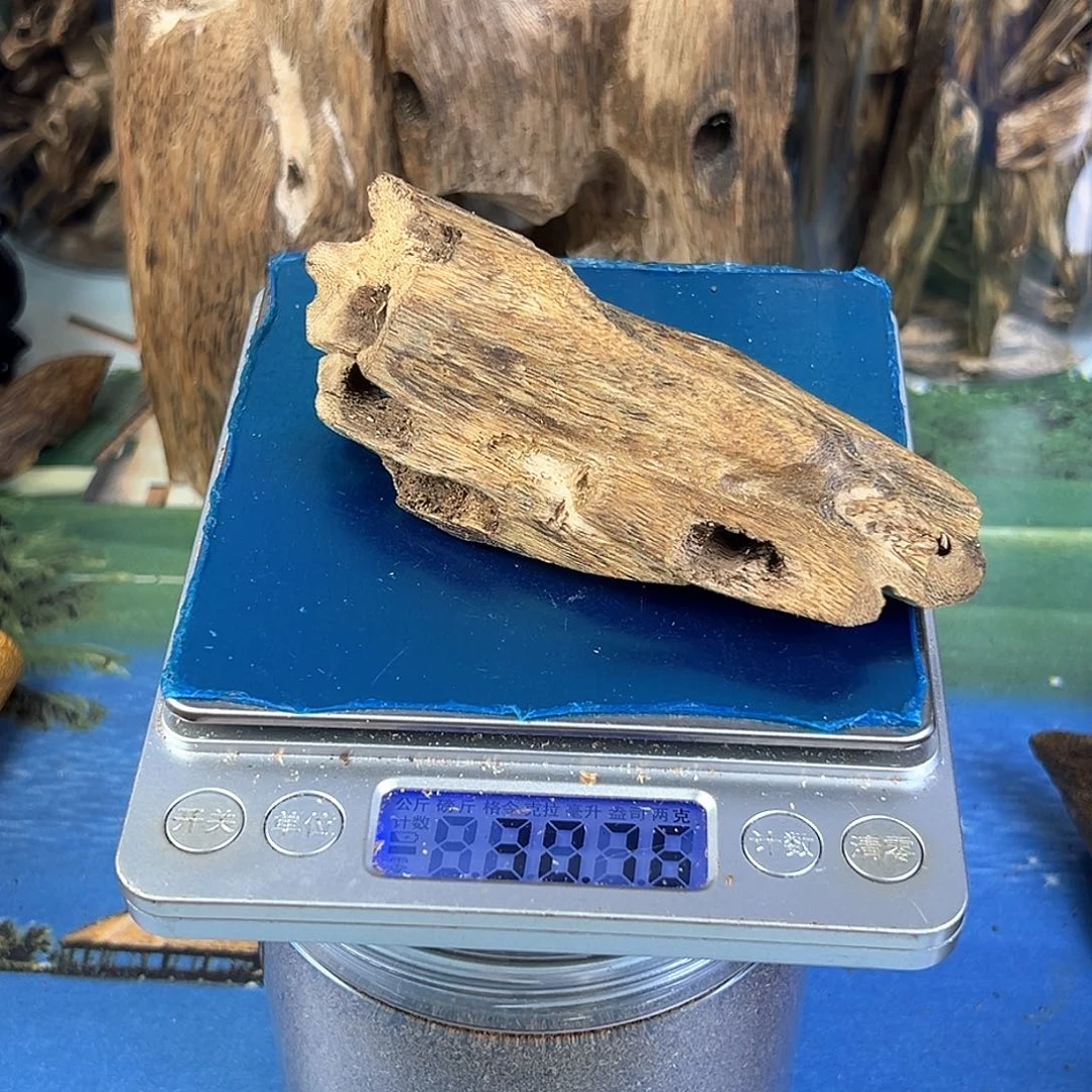 香料绿奇楠虫漏金沙叶30克