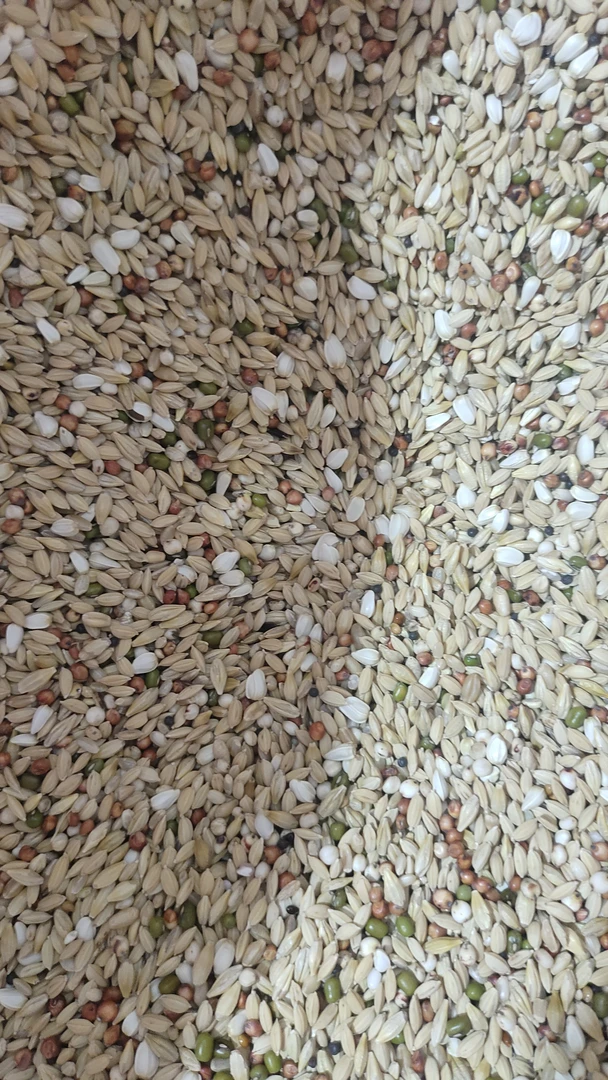 首佳职业清除饲料5斤装