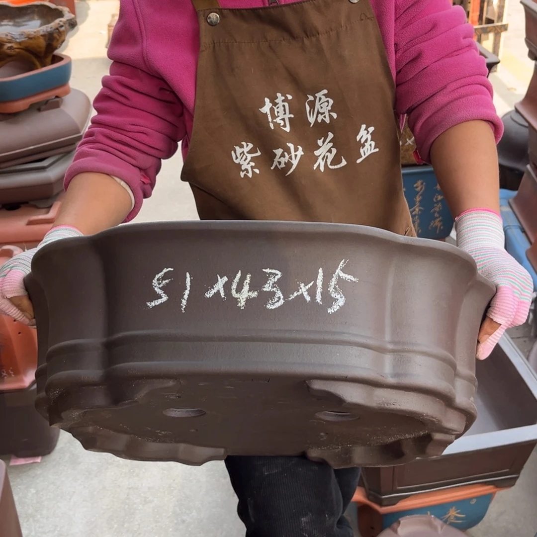 花盆紫砂盆景艺术