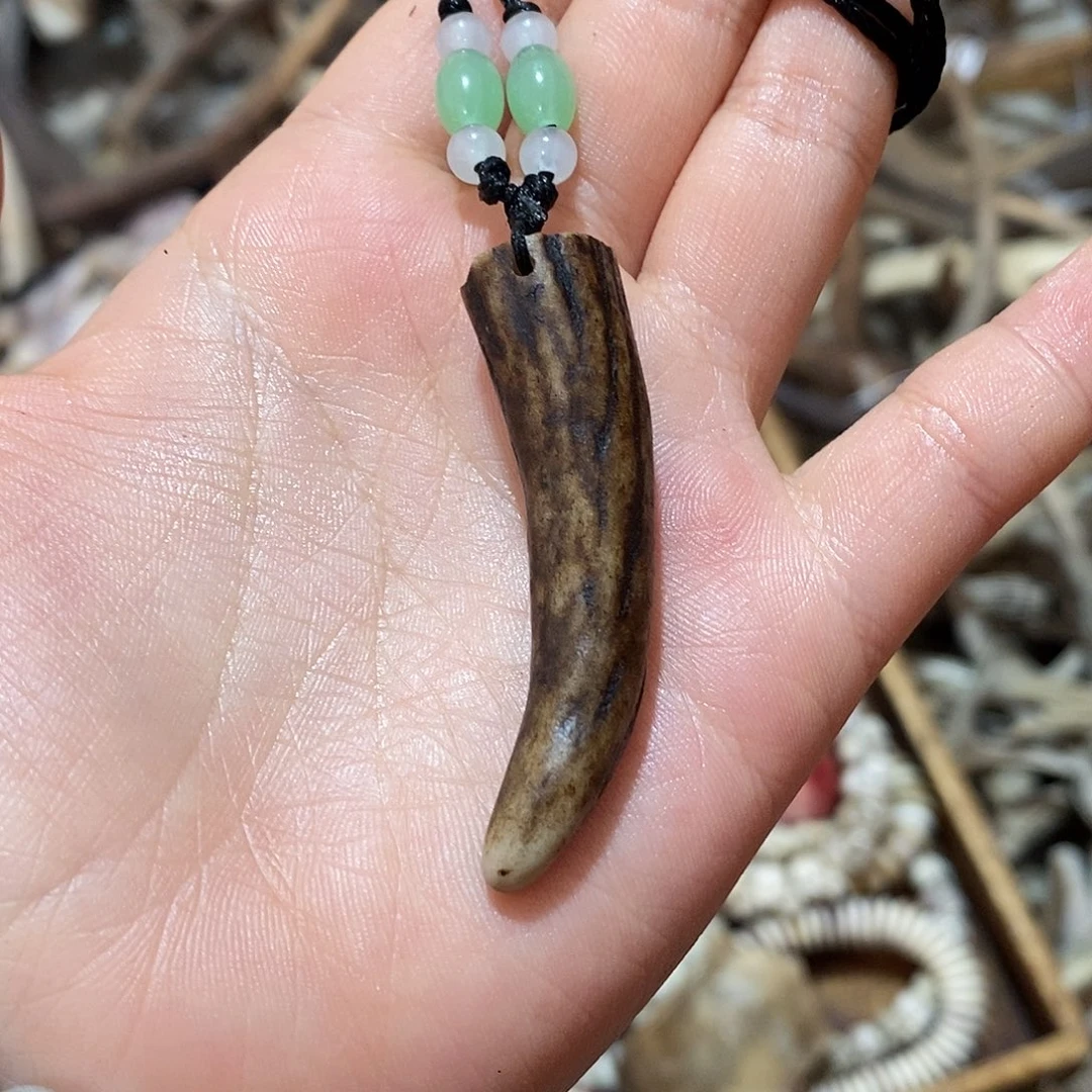 非金属鹿角鹿鹿角鹿角